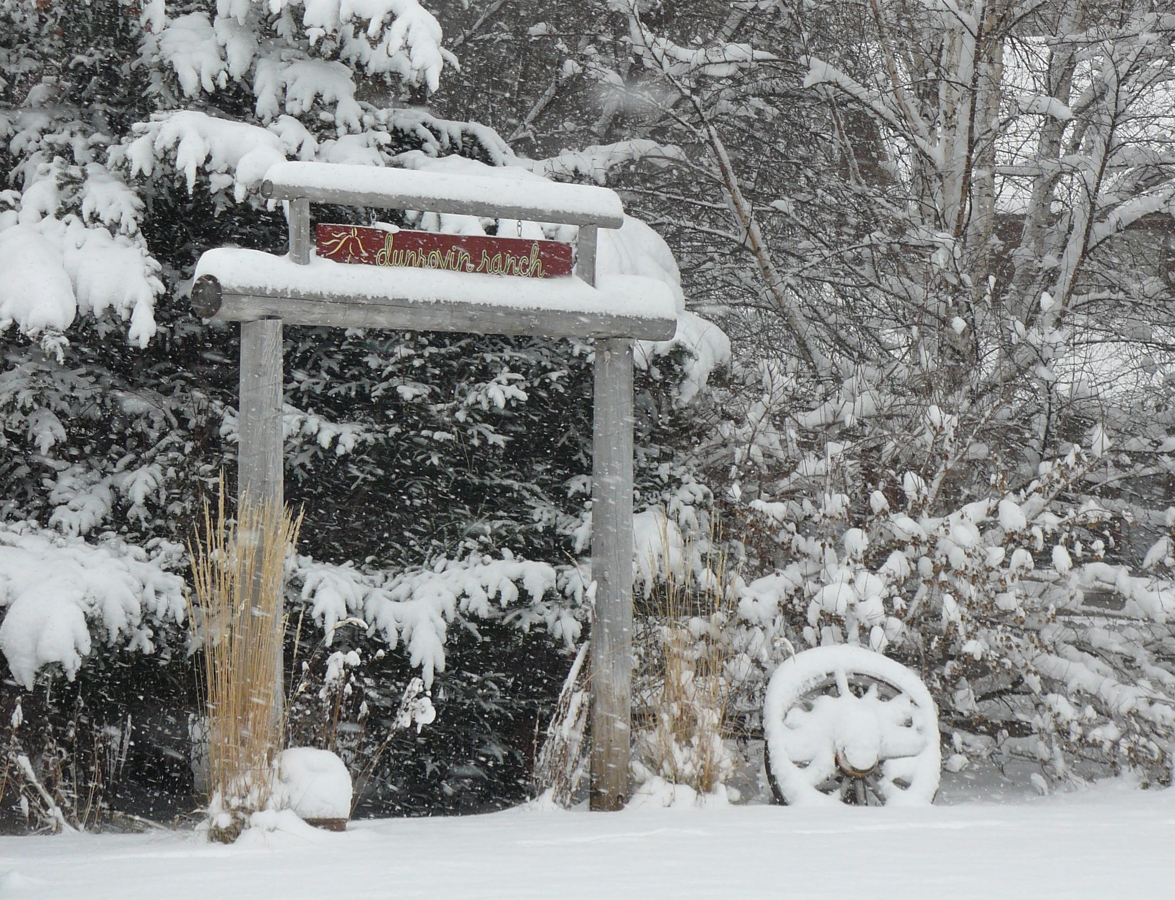 winter-arch winter-arch