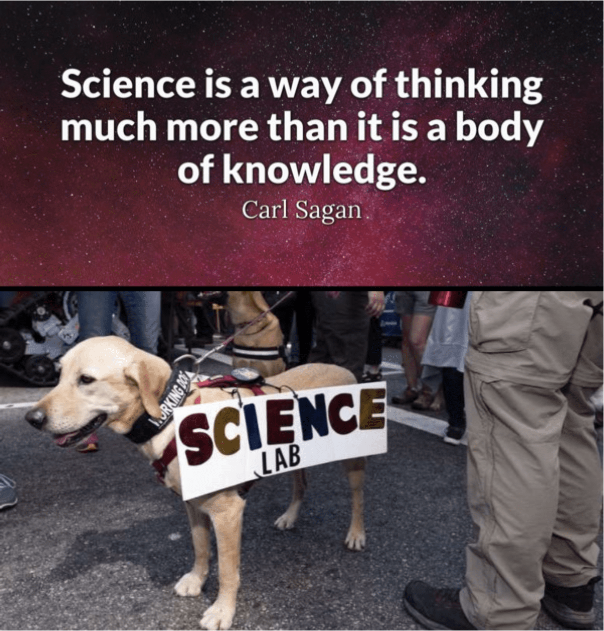 Science Lab And Saying Science Lab And Saying